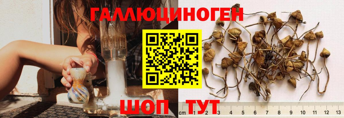 Cocaine  Метамфетамин  Меф МЯУ МЯУ кристаллы  Кунгур  Вход с VPN 