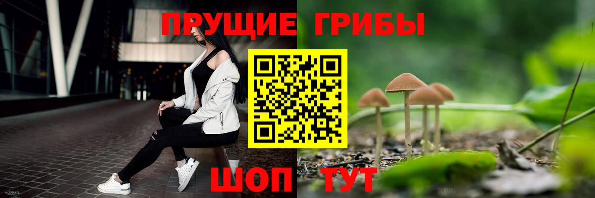 Галлюциногенные грибы MAGIC MUSHROOMS Кунгур